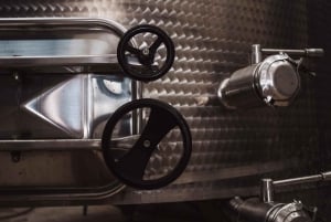 Marsala: wijnmakerij tour en Siciliaanse biologische wijnproeverij