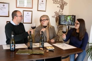 Marsala: visita a una bodega y cata de vino ecológico siciliano