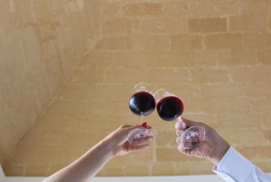 Marsala: zwiedzanie winnicy i degustacja sycylijskiego wina organicznego