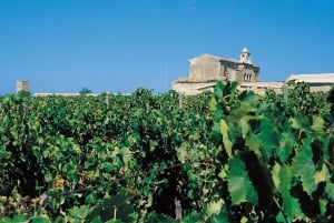 Marsala: Weintour mit Weinverkostung und lokalen Produkten