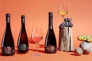 Marzamemi: Val di Noto wijntour, wijnproeverij & aperitief