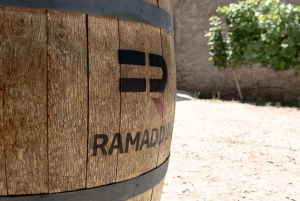 Marzamemi: Val di Noto wijntour, wijnproeverij & aperitief