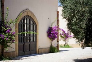 Mazara del Vallo: Proeverij bij wijnhuis Assuli