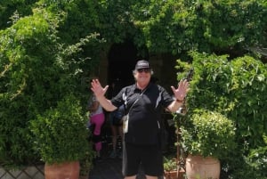 Messina: Taormina, Savoca, Castelmola, and Messina Private …