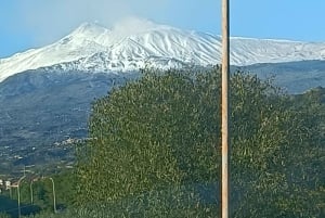 Messina: Taormina, Savoca, Castelmola, and Messina Private …