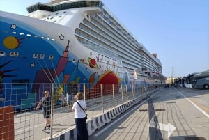 Messina: Taormina, Savoca, Castelmola, and Messina Private …