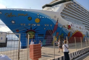 Messina: Taormina, Savoca, Castelmola, and Messina Private …