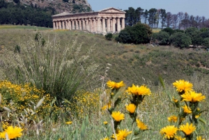 Monreale & Segesta from Palermo - Small Group
