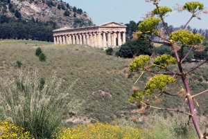 Monreale & Segesta from Palermo - Small Group