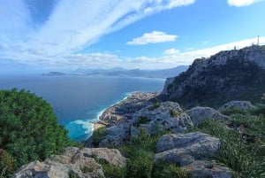 Monte Pellegrino: odkrywanie z prawdziwym „naturalistą”