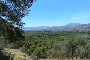 Monte Pellegrino: odkrywanie z prawdziwym „naturalistą”