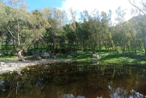 Monte Pellegrino: odkrywanie z prawdziwym „naturalistą”