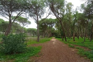 Monte Pellegrino: odkrywanie z prawdziwym „naturalistą”