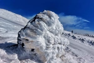 Monte Etna com recolha e entrega em Catânia: 3000 metros com teleférico e jipe