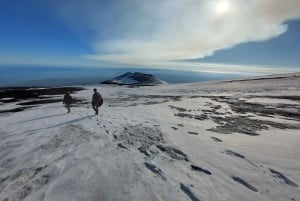 Monte Etna com recolha e entrega em Catânia: 3000 metros com teleférico e jipe