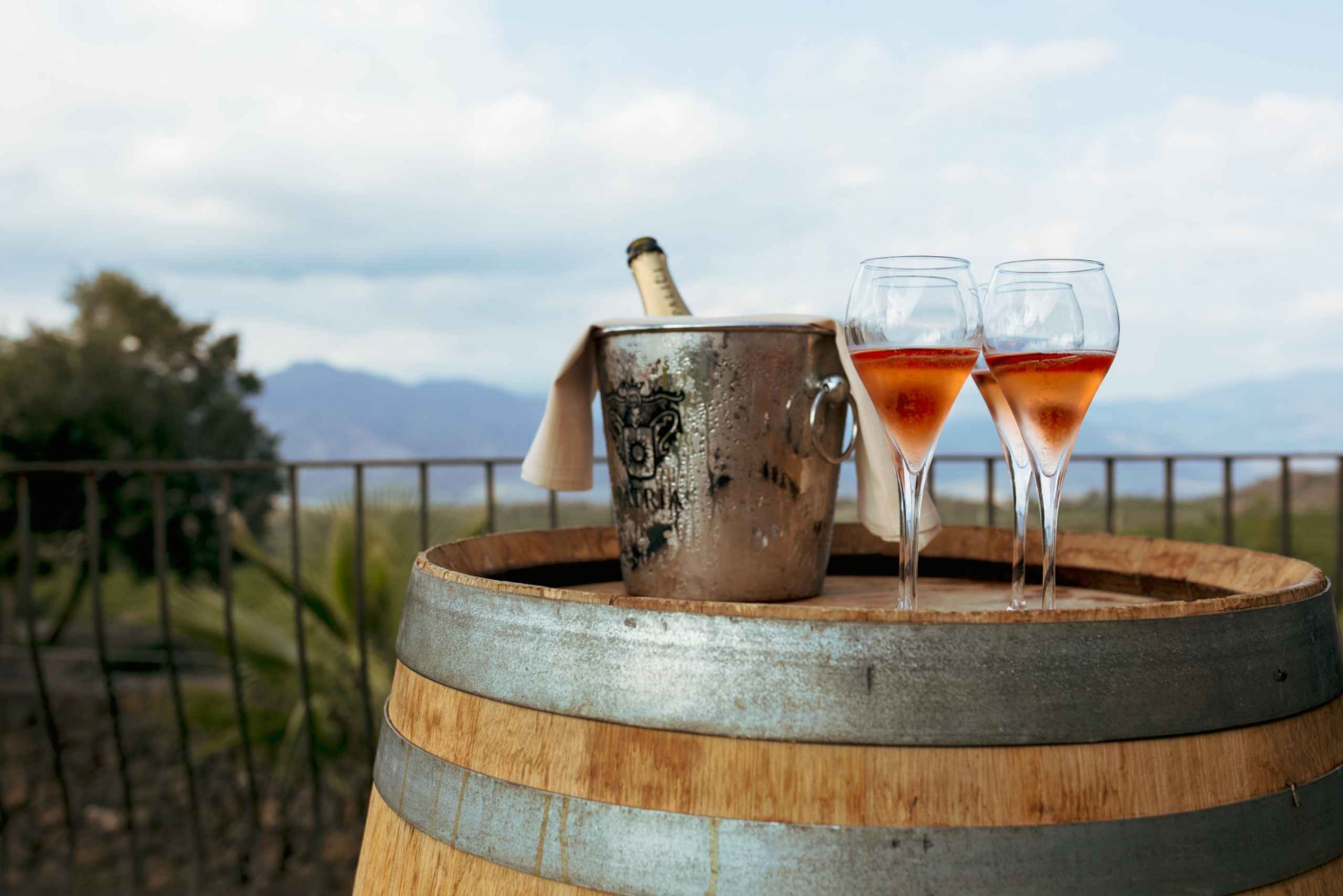 Mount Etna 5-Hour Food and Wine Tasting Tour