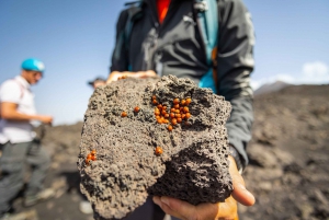 Mount Etna: Cable Car, Jeep, & Hiking Tour to Summit