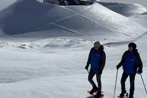 Mount Etna: Crater Tour to Highest South Access