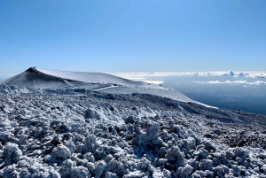Mount Etna: Crater Tour to Highest South Access