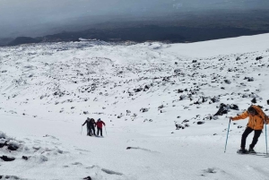 Mount Etna: Crater Tour to Highest South Access