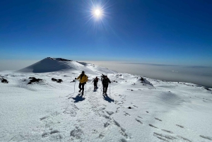 Mount Etna: Crater Tour to Highest South Access
