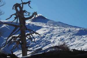 Mount Etna: Trek to the Craters of The 2002 Eruption