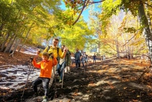 Etna: vandring till kratrarna från utbrottet 2002