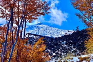 Etna: vandring till kratrarna från utbrottet 2002