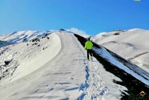 Etna: vandring till kratrarna från utbrottet 2002