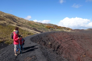 Mount Etna: Craters of the 2002 Eruption Trekking Experience