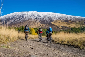 Mount Etna: E-Bike Tour with Lunch and Transportation
