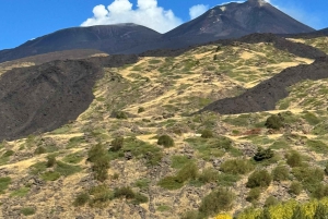 Etna: Halvdagstur med firehjulstrækker om morgenen