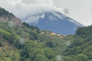 Etna: Halvdagstur med firehjulstrækker om morgenen
