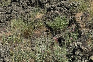 Etna: tour in jeep 4x4 di mezza giornata al mattino