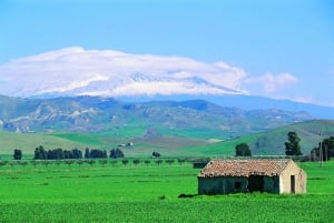 Mount Etna Full-Day Winter Bus Tour