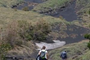 Excursão de trekking guiada pelo Monte Etna