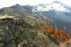 Etna: półdniowa wycieczka z przewodnikiem i piesza wędrówka