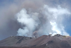 Etna: półdniowa wycieczka z przewodnikiem i piesza wędrówka