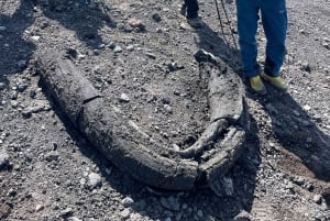Mount Etna: Hike to the Summit Crater for Advanced Hikers