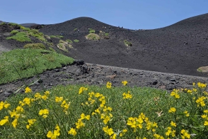Etna: rondleiding met 4x4 en trektocht naar de noordelijke bovenste kraters