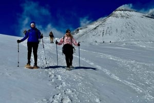 エトナ山南部：ケーブルカーと4WDジープで行く山頂の噴火口ツアー