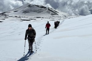 エトナ山南部：ケーブルカーと4WDジープで行く山頂の噴火口ツアー