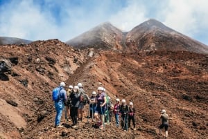 Mount Etna top: Central Crater Walking Tour