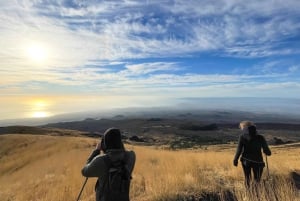 Monte Etna: Excursión al amanecer con un guía local experto