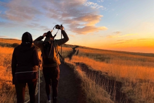 Berget Etna: Utflykt i soluppgången med en kunnig lokal guide