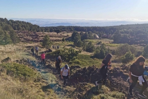Mount Etna: Sunset Soft Trek in the Recent & Old Lava Flows