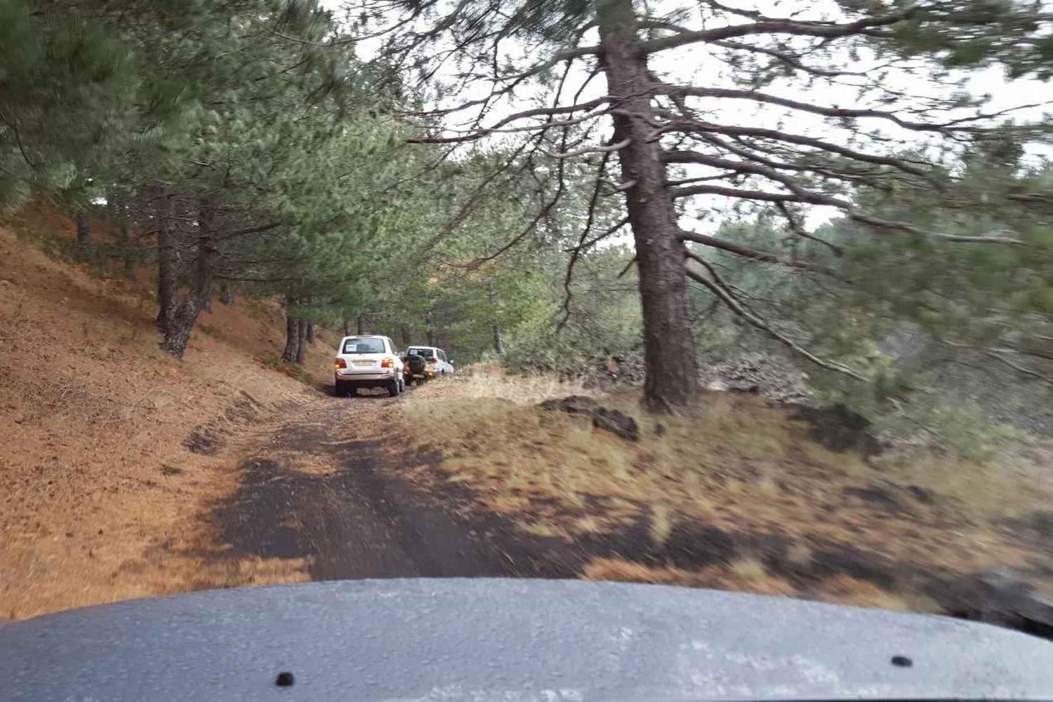 Flerspråklig tur til Etna og Taormina fra Palermo