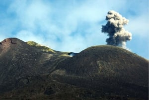 Flerspråklig tur til Etna og Taormina fra Palermo