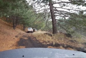 Flerspråklig tur til Etna og Taormina fra Palermo