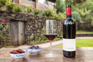 Mount Etna: Winery Tour and Tasting